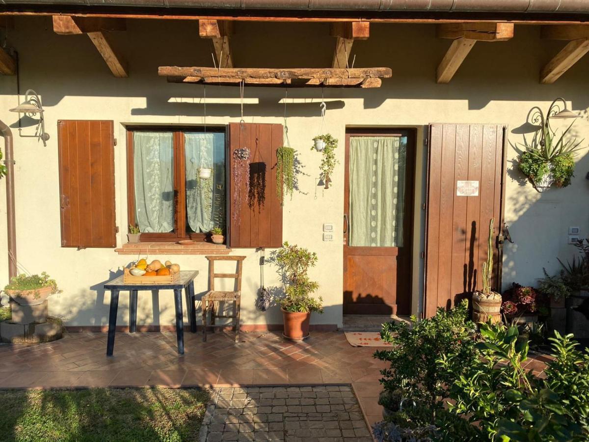 Ca' Dei Gelsi B & B コリアーノ エクステリア 写真