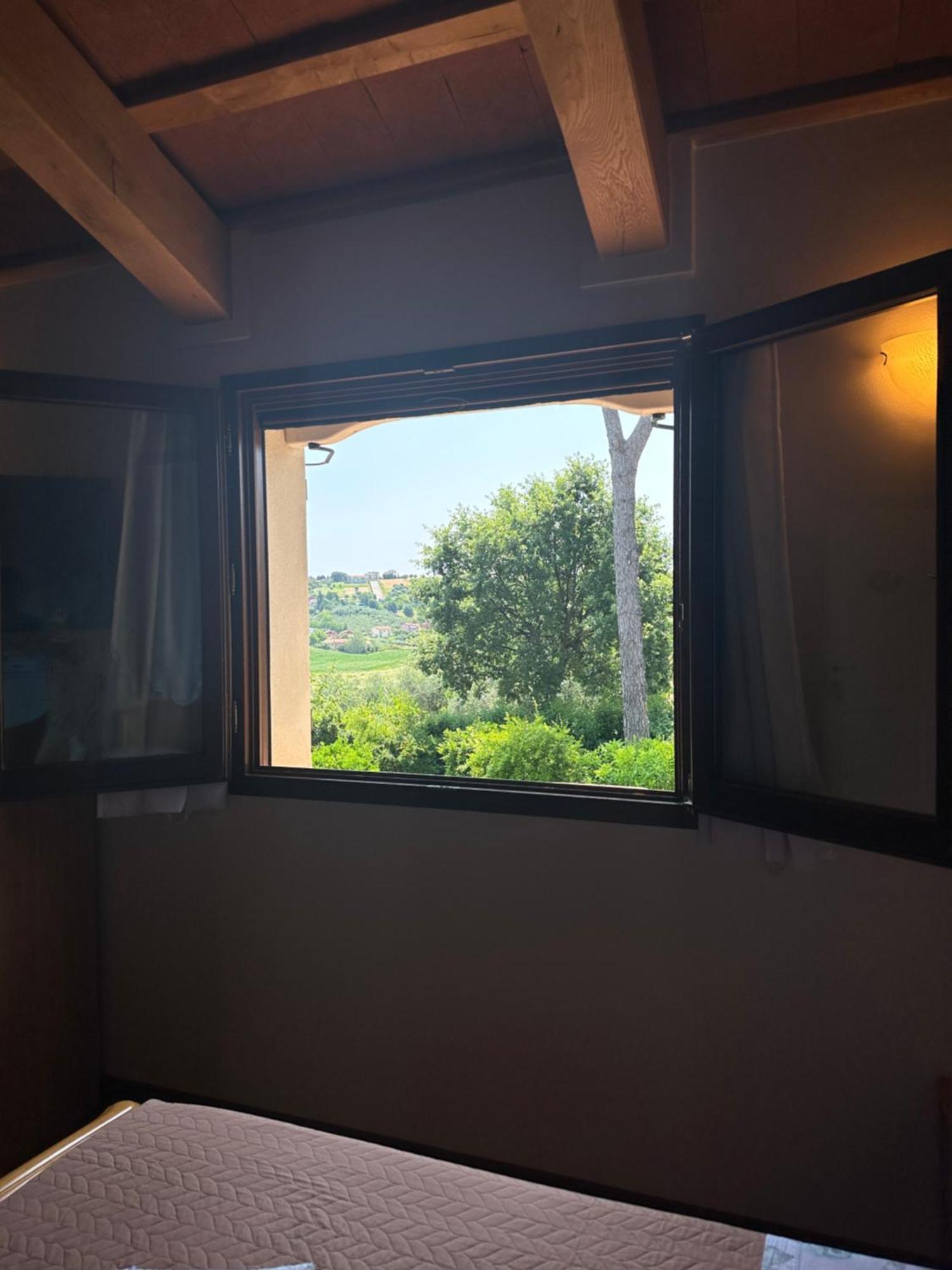 Ca' Dei Gelsi B & B コリアーノ エクステリア 写真
