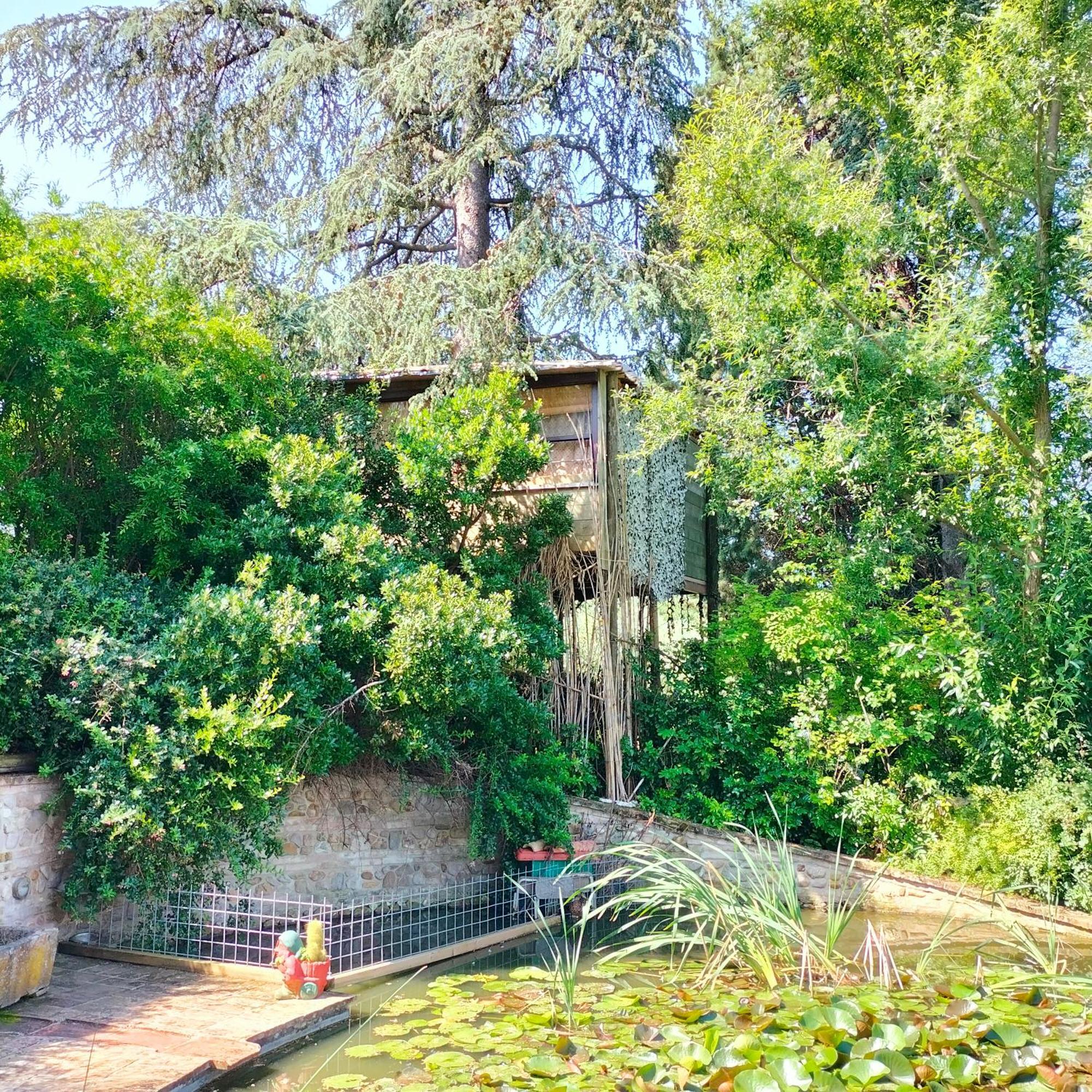Ca' Dei Gelsi B & B コリアーノ エクステリア 写真