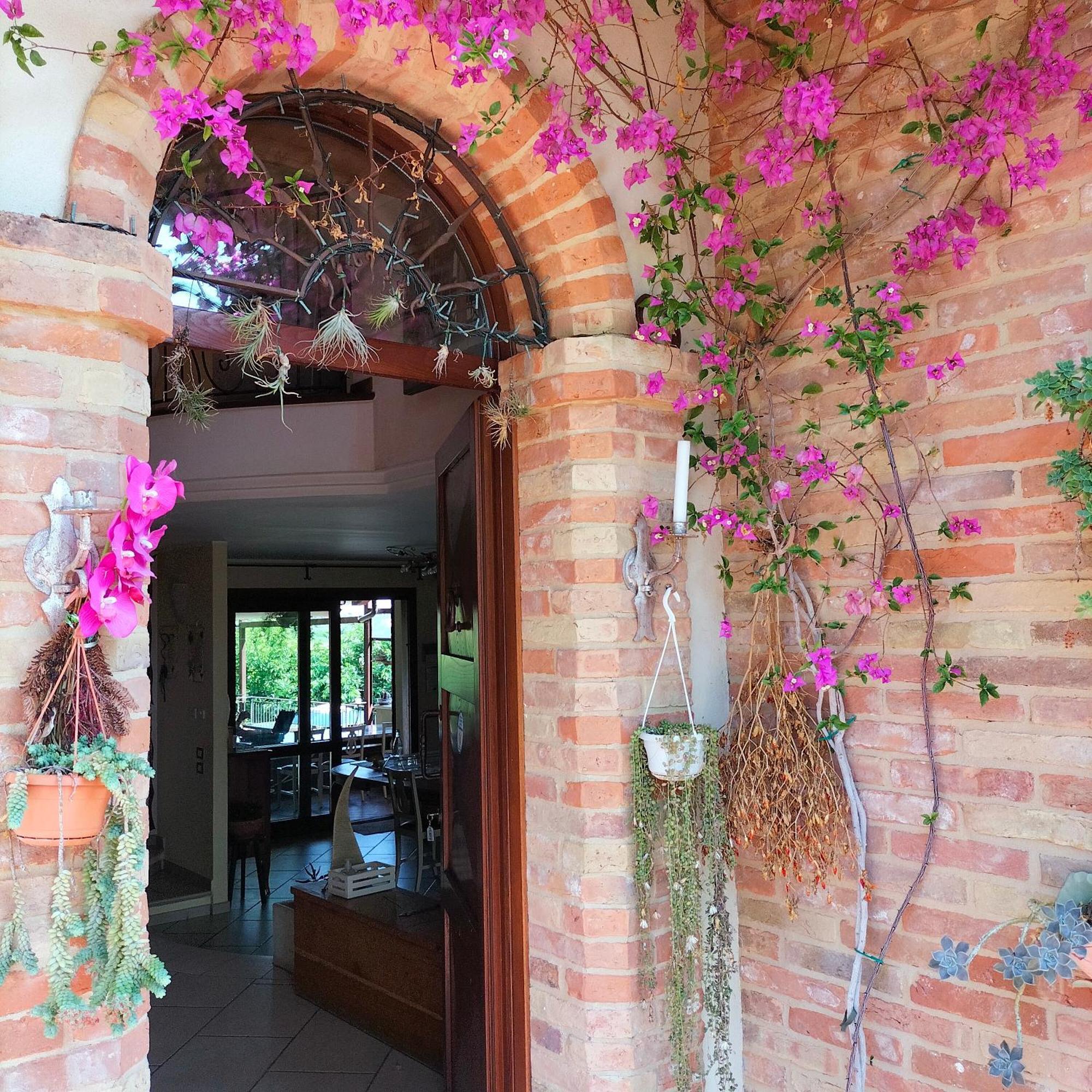 Ca' Dei Gelsi B & B コリアーノ エクステリア 写真